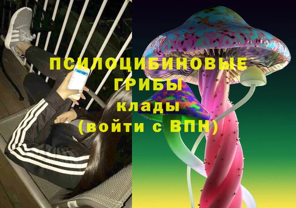 a pvp Вяземский