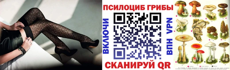 купить  сайты  Добрянка  Галлюциногенные грибы мухоморы 
